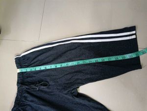 Men Shorts