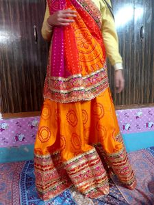Wide Border Heavy Saree