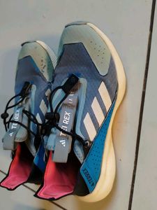 Adidas Terrex Trekking Shoes &#34;original&#34;