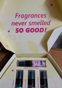 Plum Discovery Kit