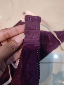 Zivame Padded Wired T Shirt Bra
