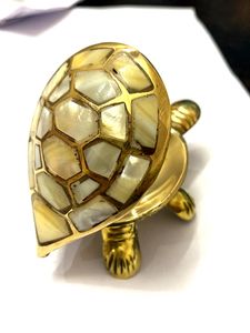 Wish Tortoise