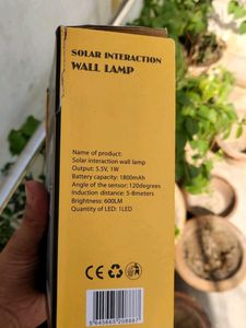 Solar Light