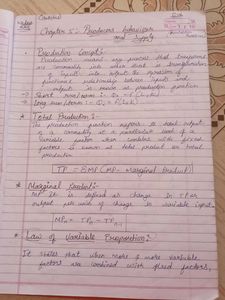 Economic Notes Term 2