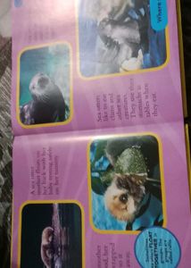 National Geographic Kids Animal Book