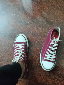 Converse Shoes - Not Original