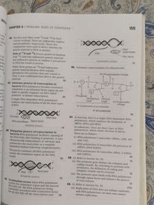 12th Biology CBSE PYQ Book