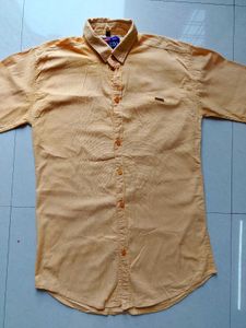 Mustard Yellow 🟡 Shirt For Men