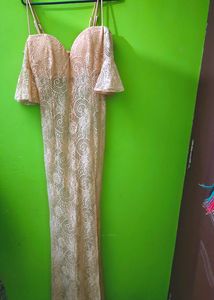 Sexy Nude Bodycorn Lace Dress (New)