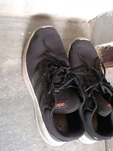 Adidas Black Sneakers