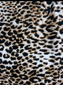 Shein Leopard Print Top