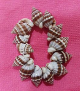 Seashell Bracelet