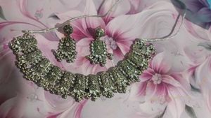 Elegant Silver Necklace & Earrings