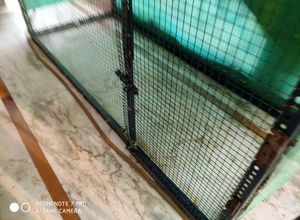 Bird Aviary Cage