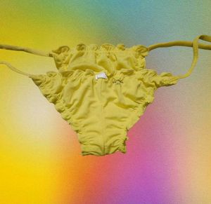 Brief