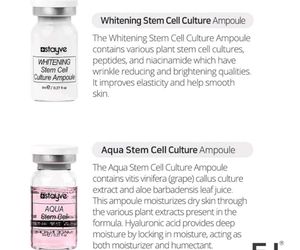 Stayve Dermawhite Ampoule Serum &amp; Foundation Set