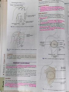 Human Anatomy Textbook with free workbook
