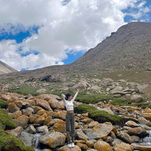 Olive Green Cargo Pants