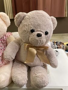 Cute Teddy Bear Duo