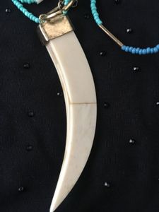 Mother of pearl claw and Turquoise beads Necklace.