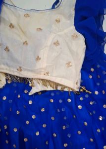 Fancy Lehenga Choli