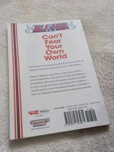 Bleach: Can&#39;t Fear Your Own World I