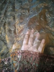 Organza Frock