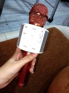 Karaoke Microphone