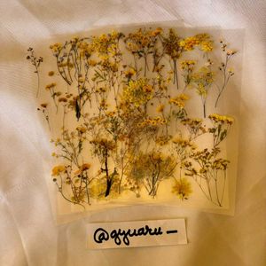 Nature Sticker Sheets