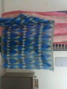 Blue &amp; White Printed Saree