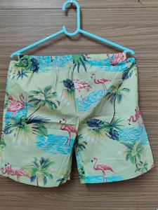 Men's Beachwear Shorts - Quick Dry