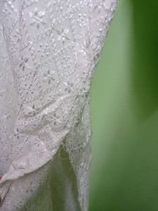 Chikankari Kurti Women