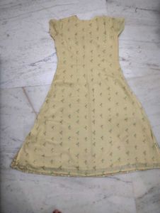Light Yellow Embroidery Kurta Set