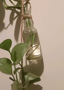 2 Set Of Bottle Decor