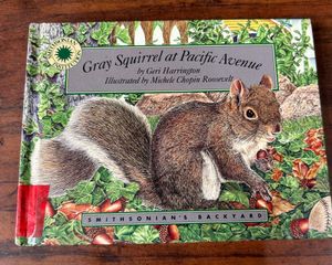 Gray Squirrel 🐿️ At pacific Avenue