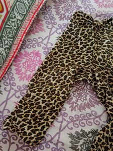 Leopard Print Dress