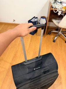 Carlton Gym &amp; Travel suitcase LARGE