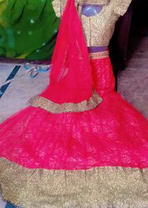 Pink &amp; Gold Lehenga Choli