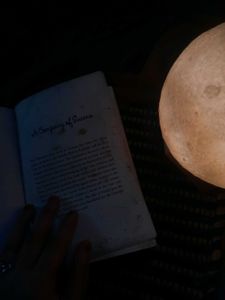 Eva Ibbotson Novel