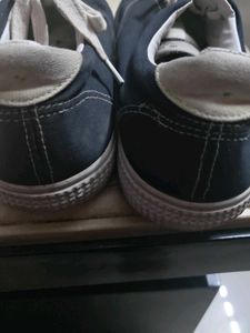 Casual Canvas Shoes