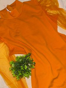 Puffy Sleeved Top