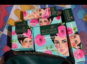 Biotique Makeup Kit