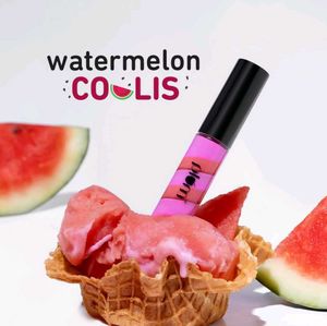 Plum Lip Gloss