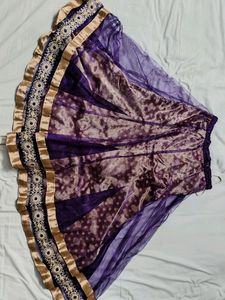 Net Heavy Lehenga