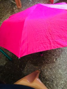 Marshall Pink Umbrella