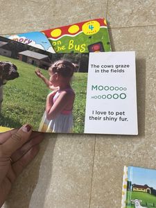 Children&#39;s Board Book Bundle