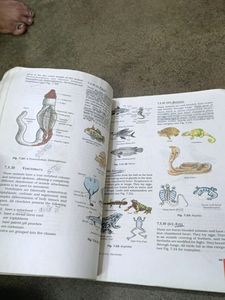 Class 9 Math Or Science