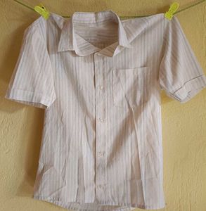 Man&#39;s T- Shirt