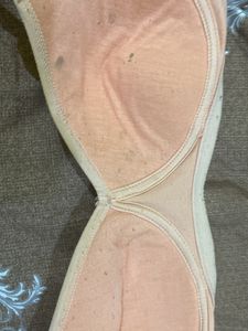 Padded Bra