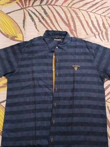 Striped Button-Down Shirt